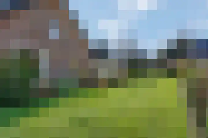 Sprielderweg 8 Putten thumbnail 47