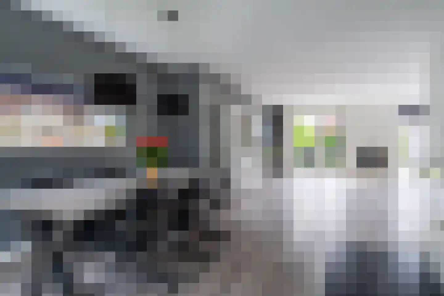 Spriens 13 Dokkum thumbnail 18