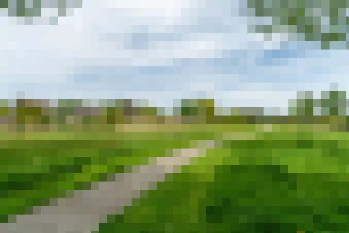 Spriens 13 Dokkum thumbnail 37