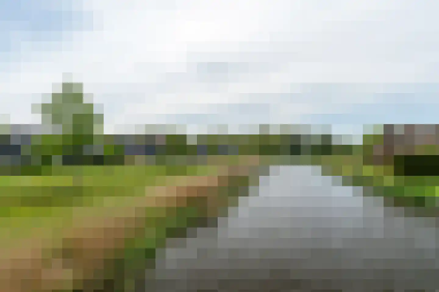 Spriens 13 Dokkum thumbnail 38