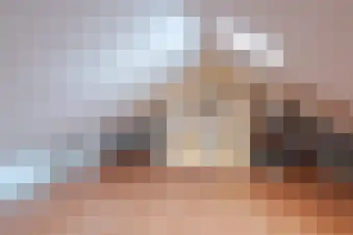 Sprietstraat 14 Wolvega thumbnail 22