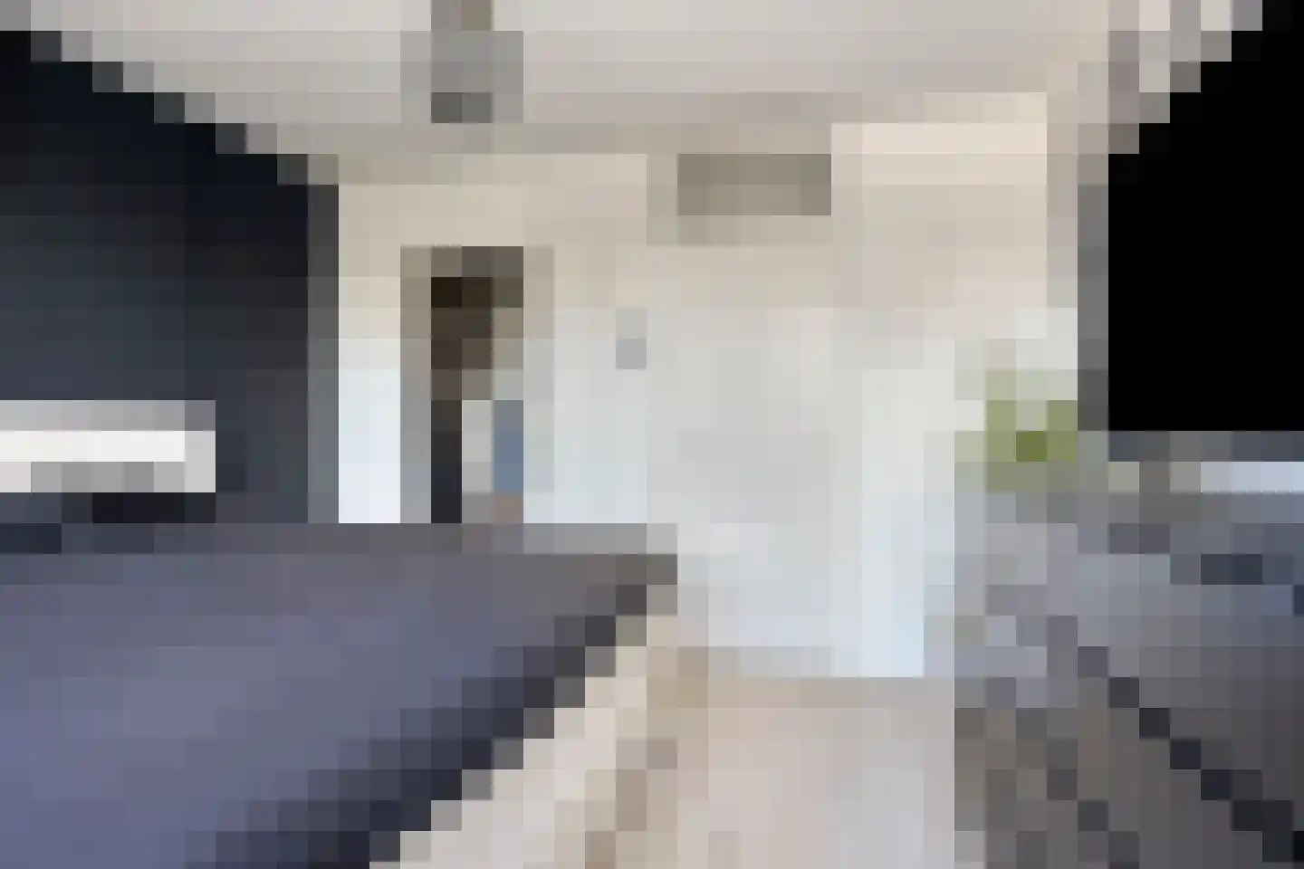 Sprietstraat 18 Wolvega thumbnail 14