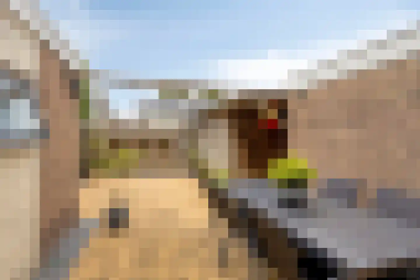 Sprietstraat 18 Wolvega thumbnail 22