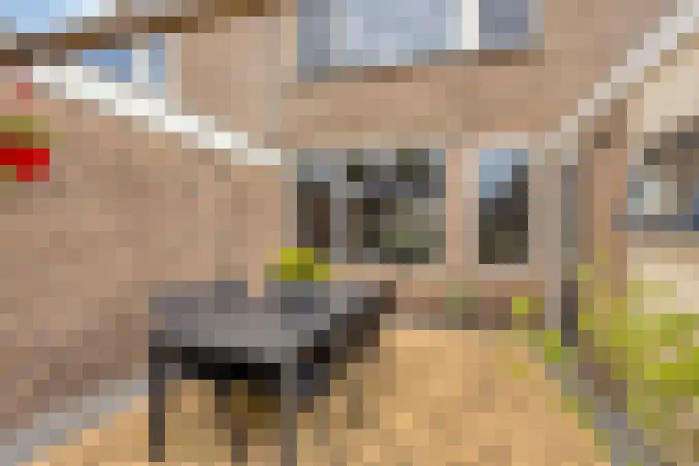 Sprietstraat 18 Wolvega thumbnail 23