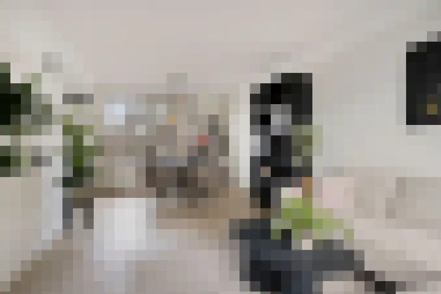 Sprietstraat 18 Wolvega thumbnail 4