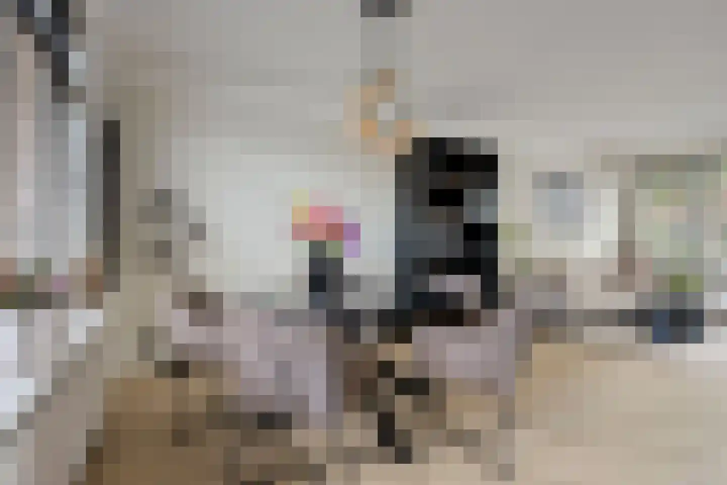 Sprietstraat 18 Wolvega thumbnail 5