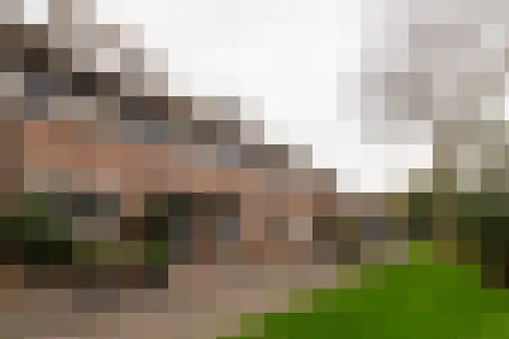 Sprietzeil 21 Krimpen aan den IJssel thumbnail 25