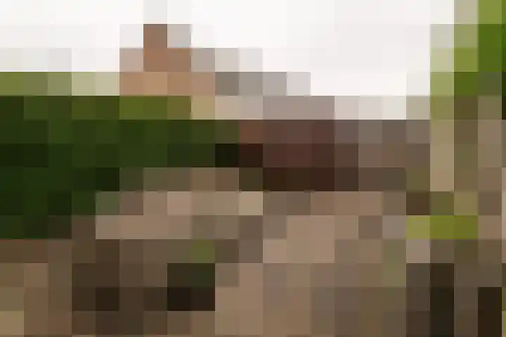 Sprietzeil 21 Krimpen aan den IJssel thumbnail 27
