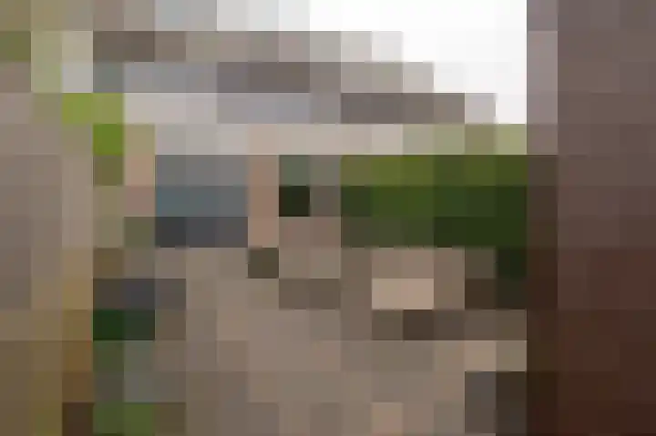 Sprietzeil 21 Krimpen aan den IJssel thumbnail 29