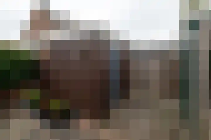 Sprietzeil 21 Krimpen aan den IJssel thumbnail 30
