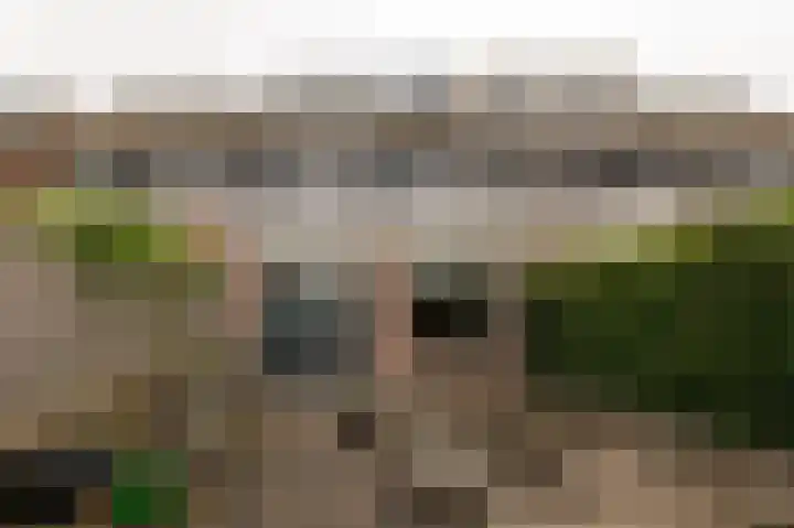 Sprietzeil 21 Krimpen aan den IJssel thumbnail 5