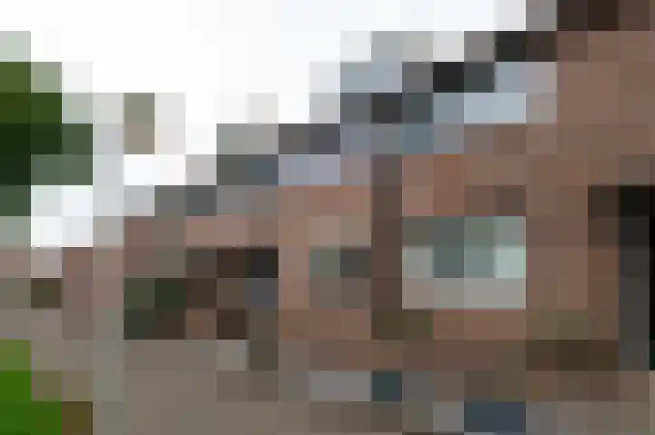 Sprietzeil 21 Krimpen aan den IJssel thumbnail 6