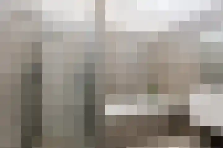 Sprietzeil 31 Almere thumbnail 33