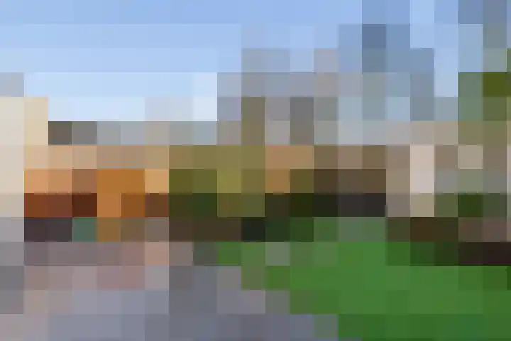 Sprietzeil 31 Almere thumbnail 41