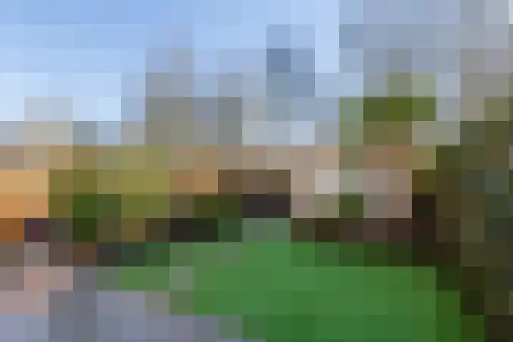 Sprietzeil 31 Almere thumbnail 42