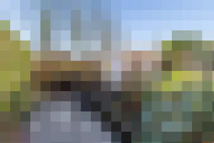 Sprietzeil 31 Almere thumbnail 44