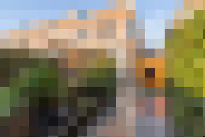 Sprietzeil 31 Almere thumbnail 46