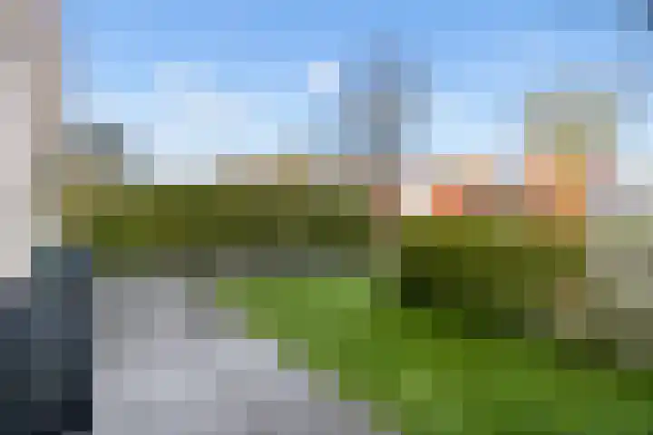 Sprietzeil 31 Almere thumbnail 49