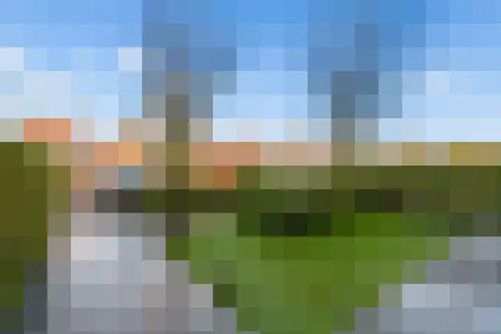 Sprietzeil 31 Almere thumbnail 50