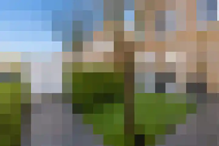 Sprietzeil 31 Almere thumbnail 51
