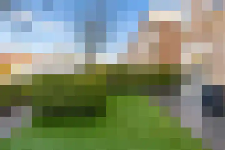 Sprietzeil 31 Almere thumbnail 52
