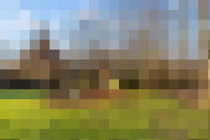 Sprietzeil 31 Almere thumbnail 55