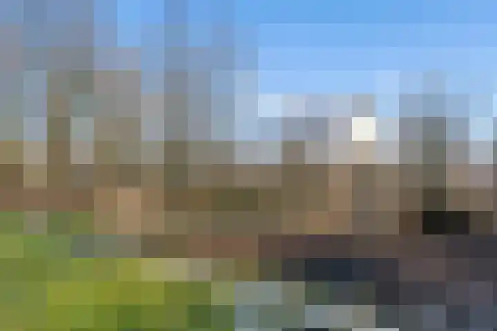 Sprietzeil 31 Almere thumbnail 56
