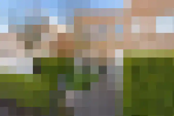 Sprietzeil 31 Almere thumbnail 61