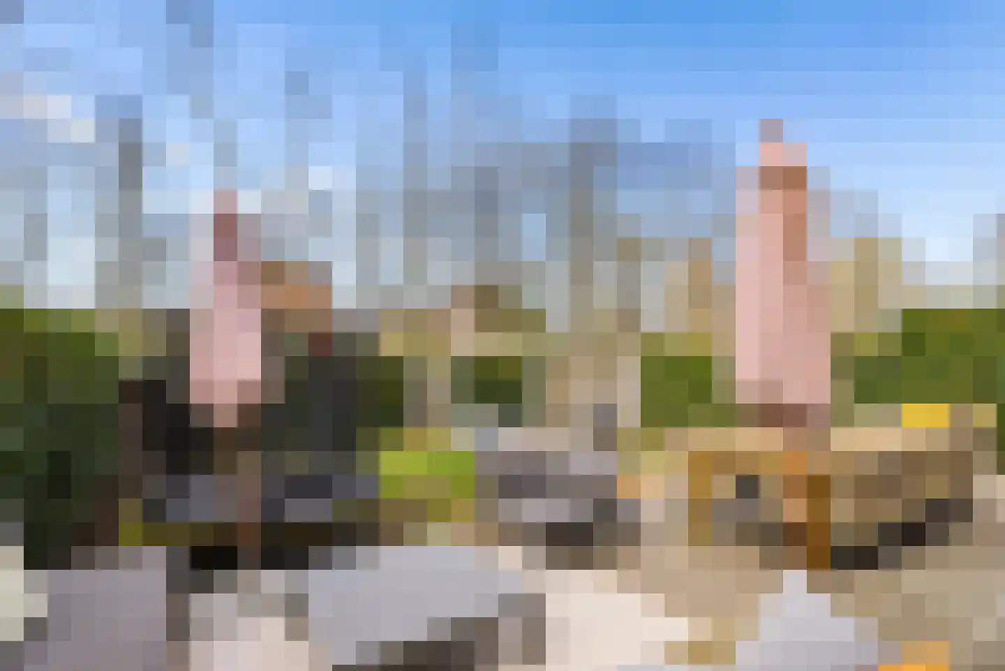 Sprietzeil 42 Almere thumbnail 63