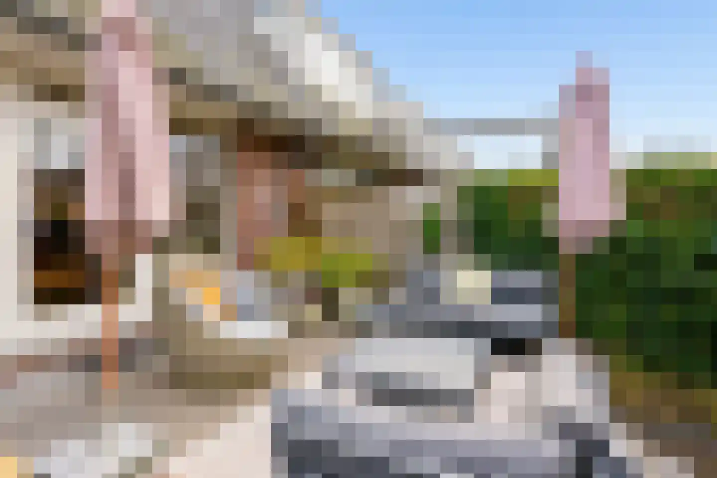 Sprietzeil 42 Almere thumbnail 70