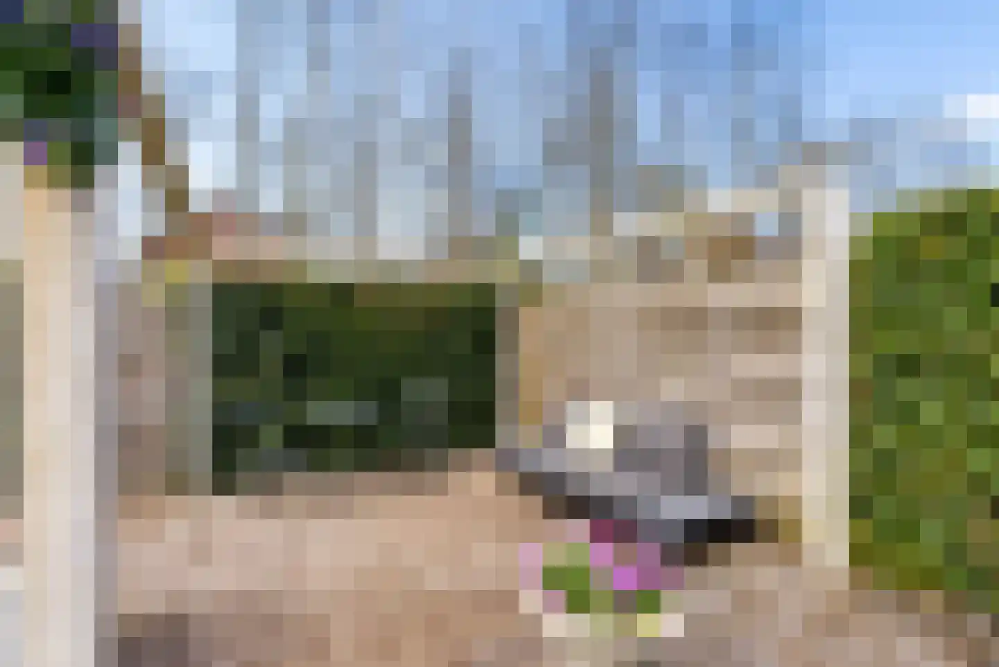 Sprietzeil 42 Almere thumbnail 72