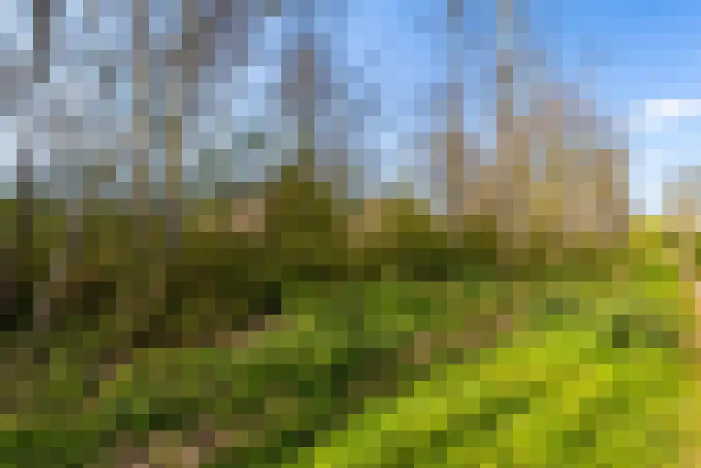 Sprietzeil 42 Almere thumbnail 81