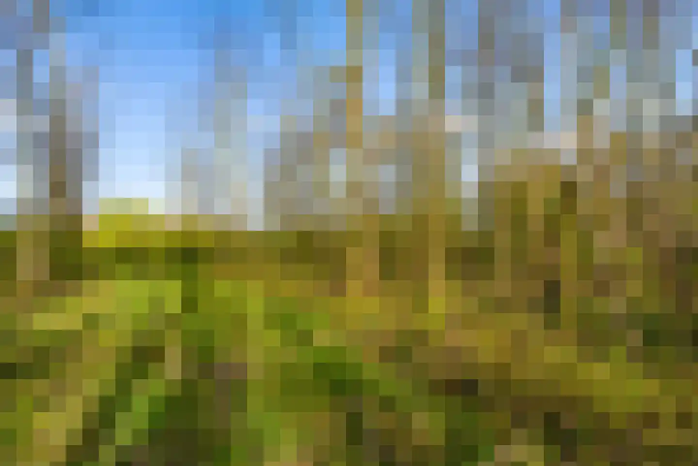 Sprietzeil 42 Almere thumbnail 82