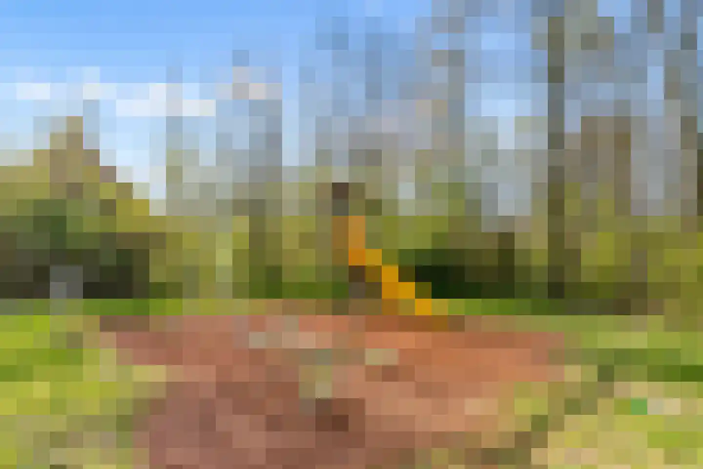 Sprietzeil 42 Almere thumbnail 84