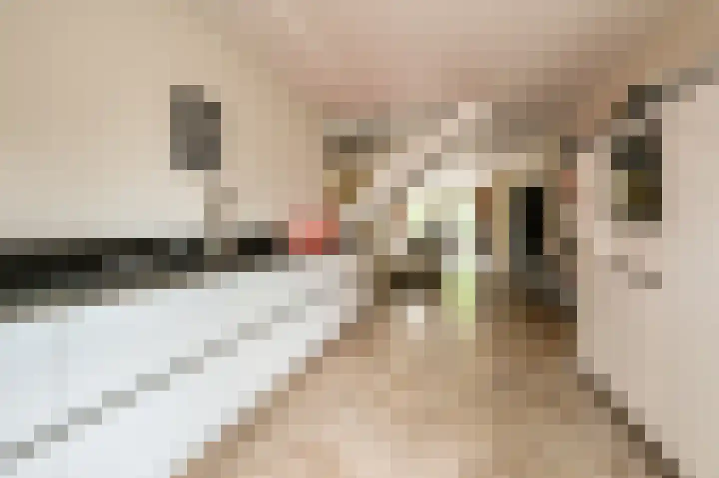 Sprietzeil 5 Almere thumbnail 17