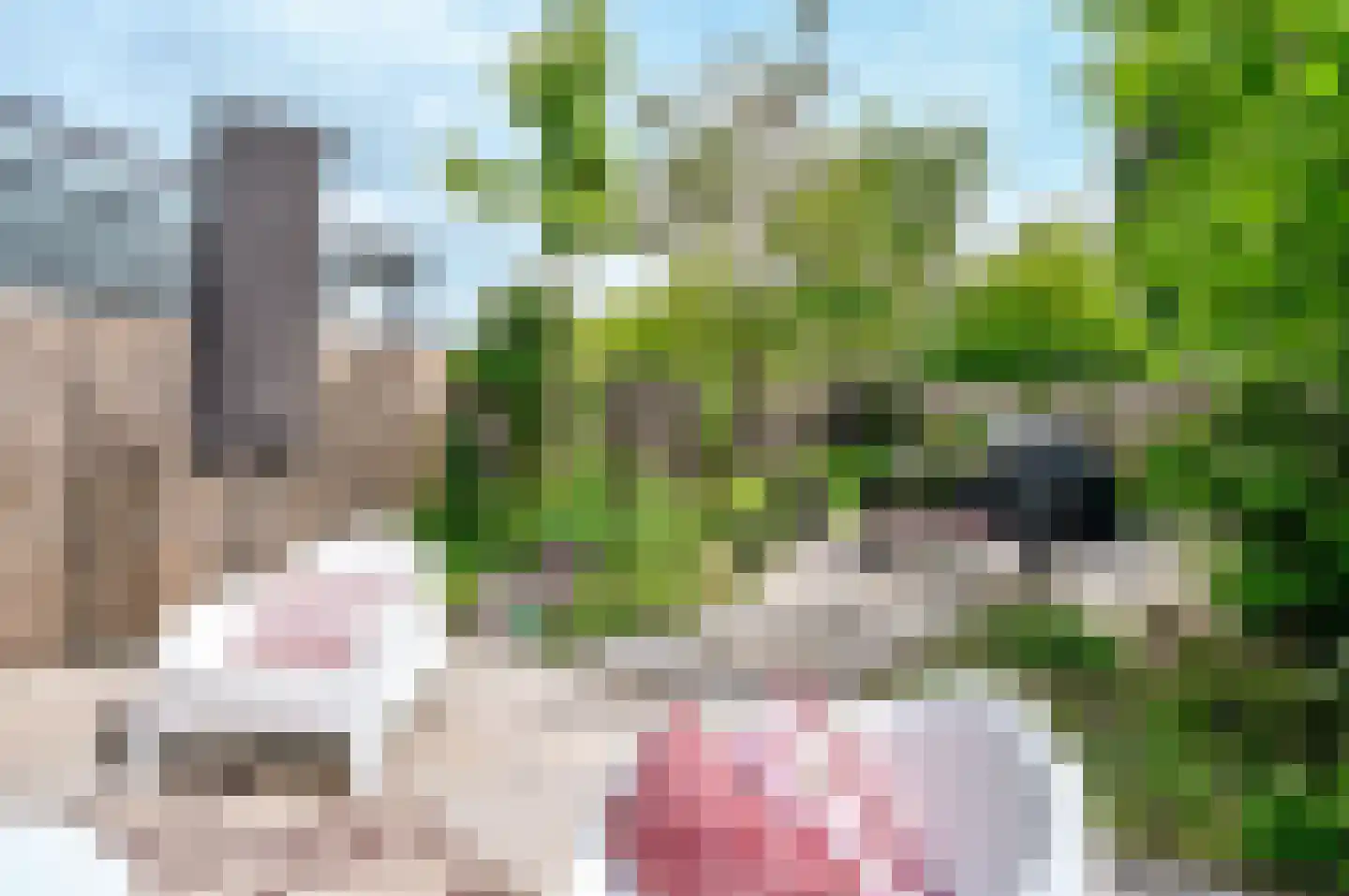 Sprietzeil 5 Almere thumbnail 21