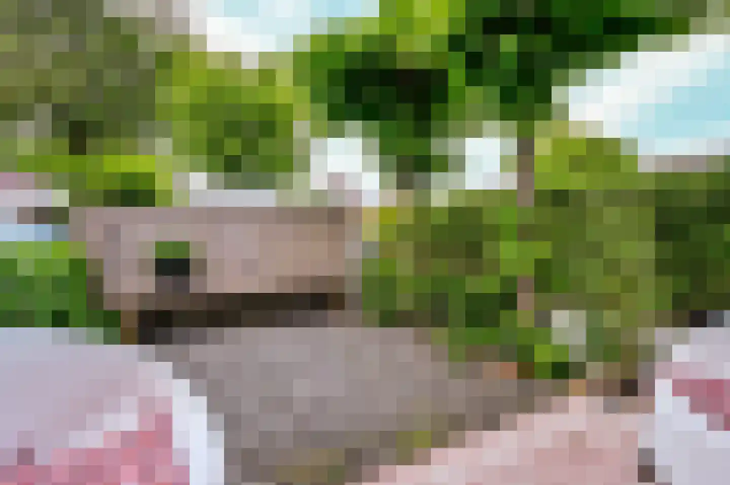 Sprietzeil 5 Almere thumbnail 6