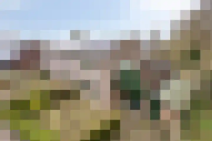 Sprikkenveen 19 in Vries