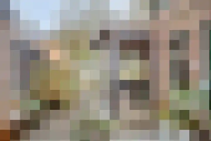 Sprikkenveen 19 Vries thumbnail 10