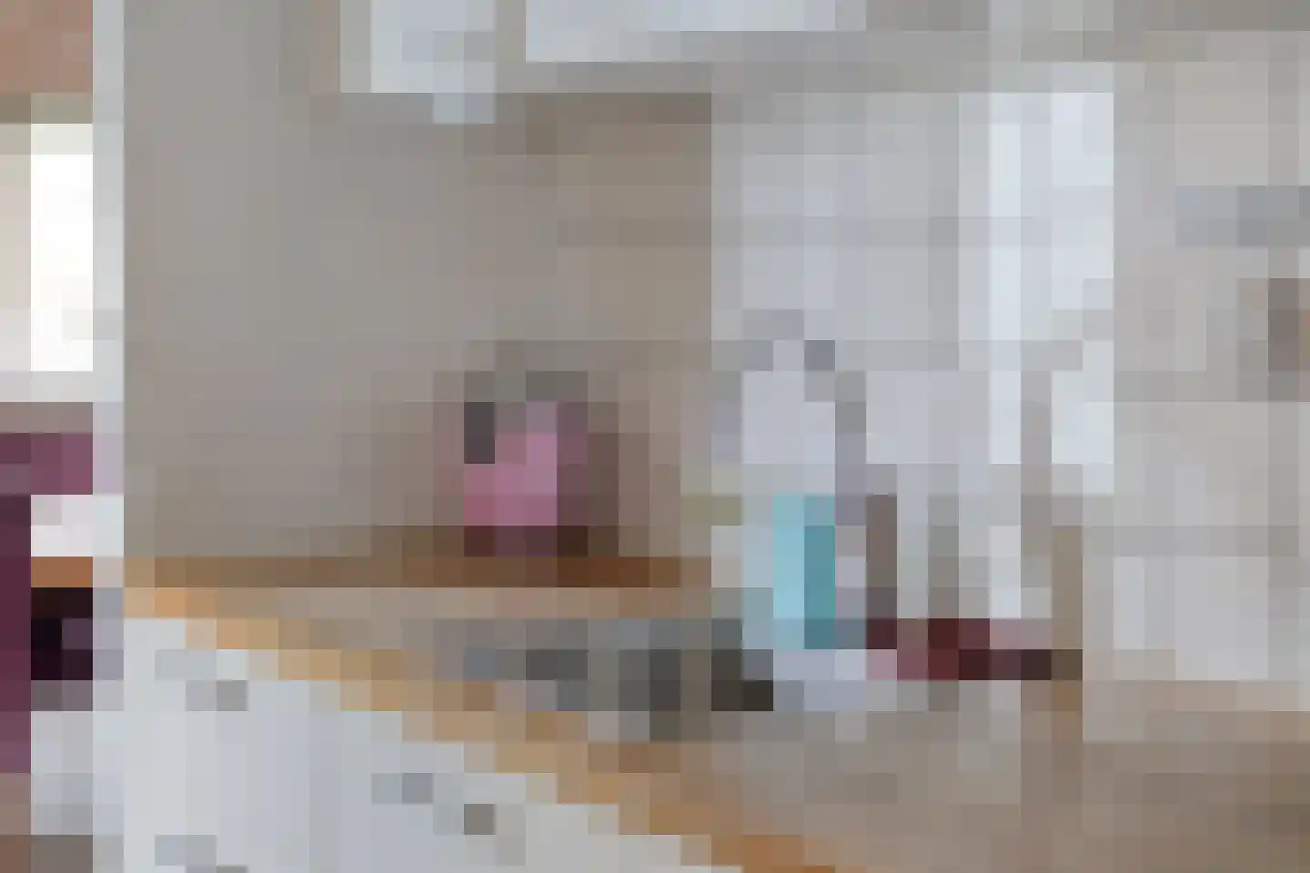 Sprikkenveen 19 Vries thumbnail 18