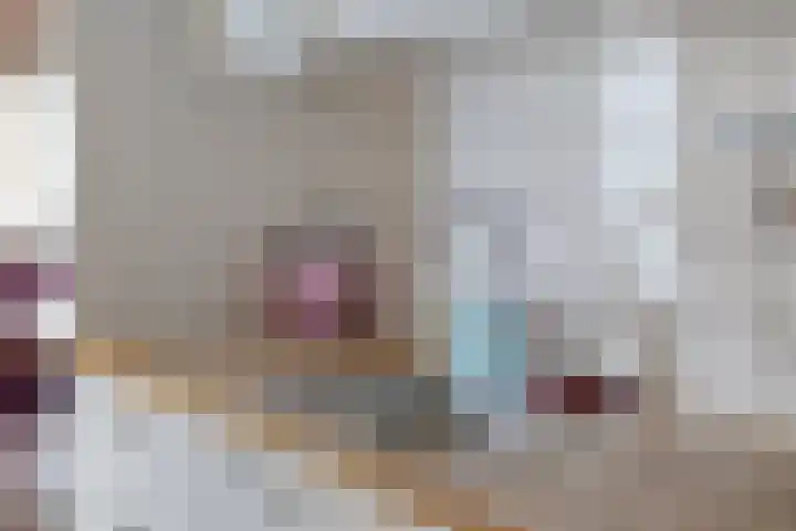 Sprikkenveen 19 Vries thumbnail 18