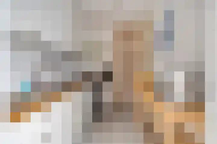 Sprikkenveen 19 Vries thumbnail 22