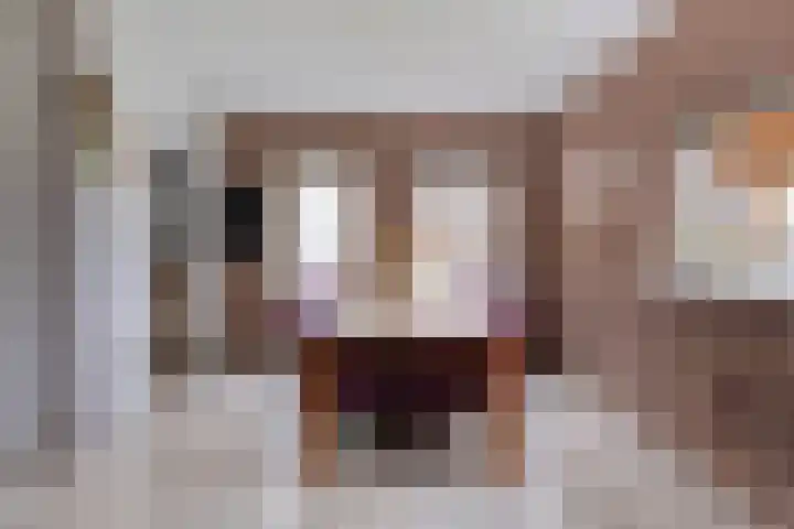Sprikkenveen 19 Vries thumbnail 23