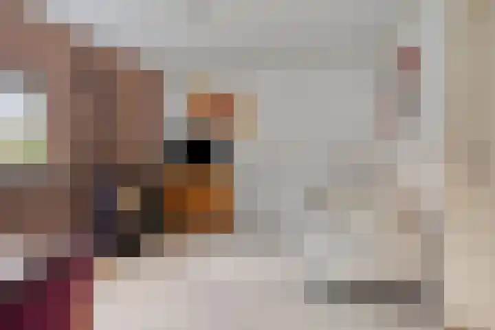 Sprikkenveen 19 Vries thumbnail 25