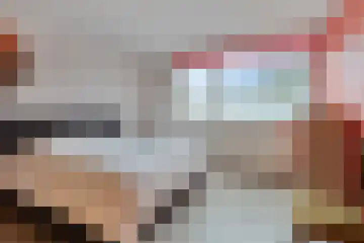 Sprikkenveen 19 Vries thumbnail 28