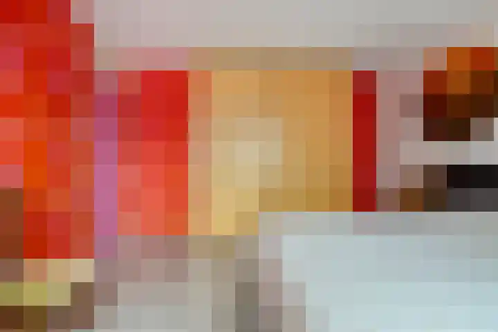 Sprikkenveen 19 Vries thumbnail 29