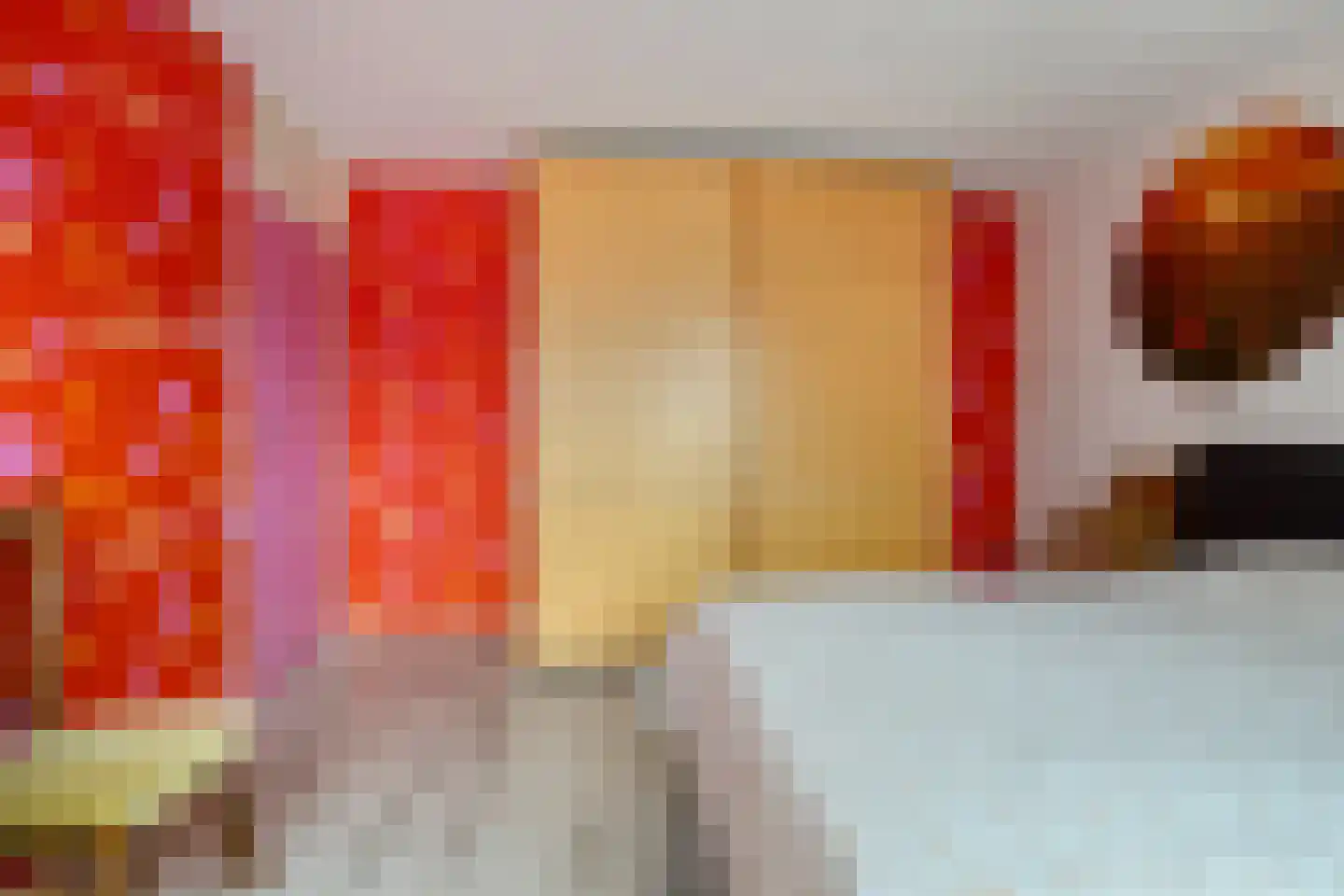 Sprikkenveen 19 Vries thumbnail 29