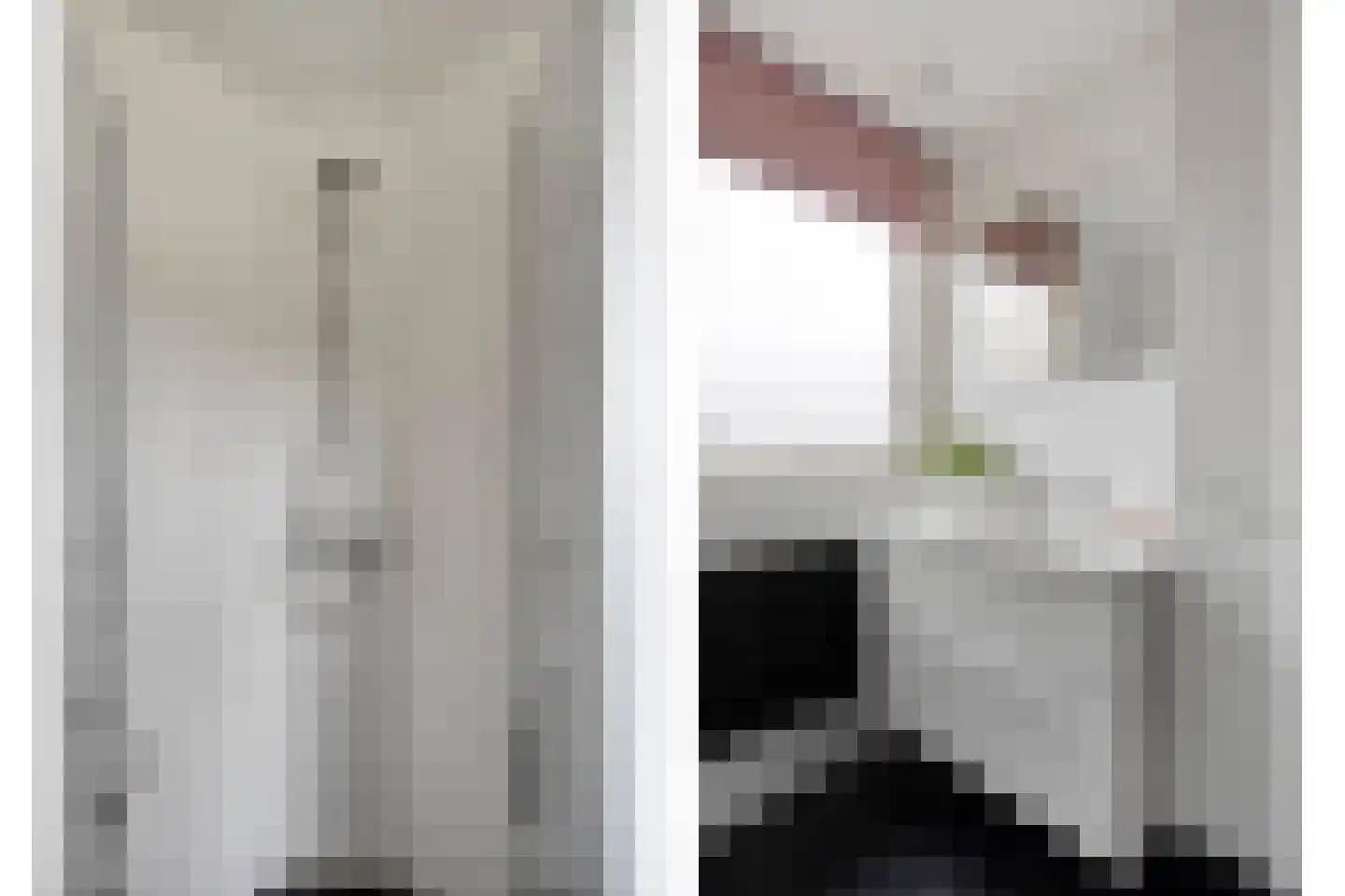 Sprikkenveen 19 Vries thumbnail 32
