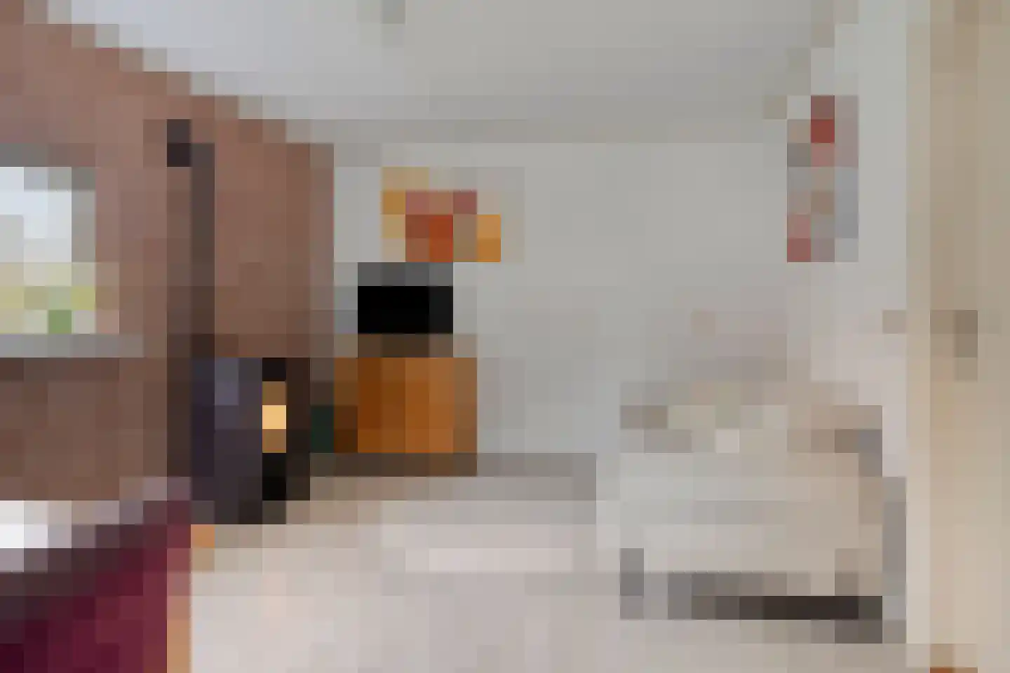 Sprikkenveen 19 Vries thumbnail 4