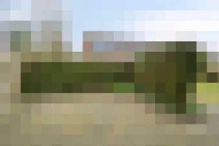 Sprikkenveen 19 Vries thumbnail 46